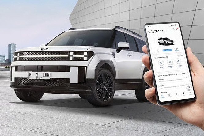 Mengapa Hyundai Bluelink Menjadi Penting Untuk Mobil Keluarga?